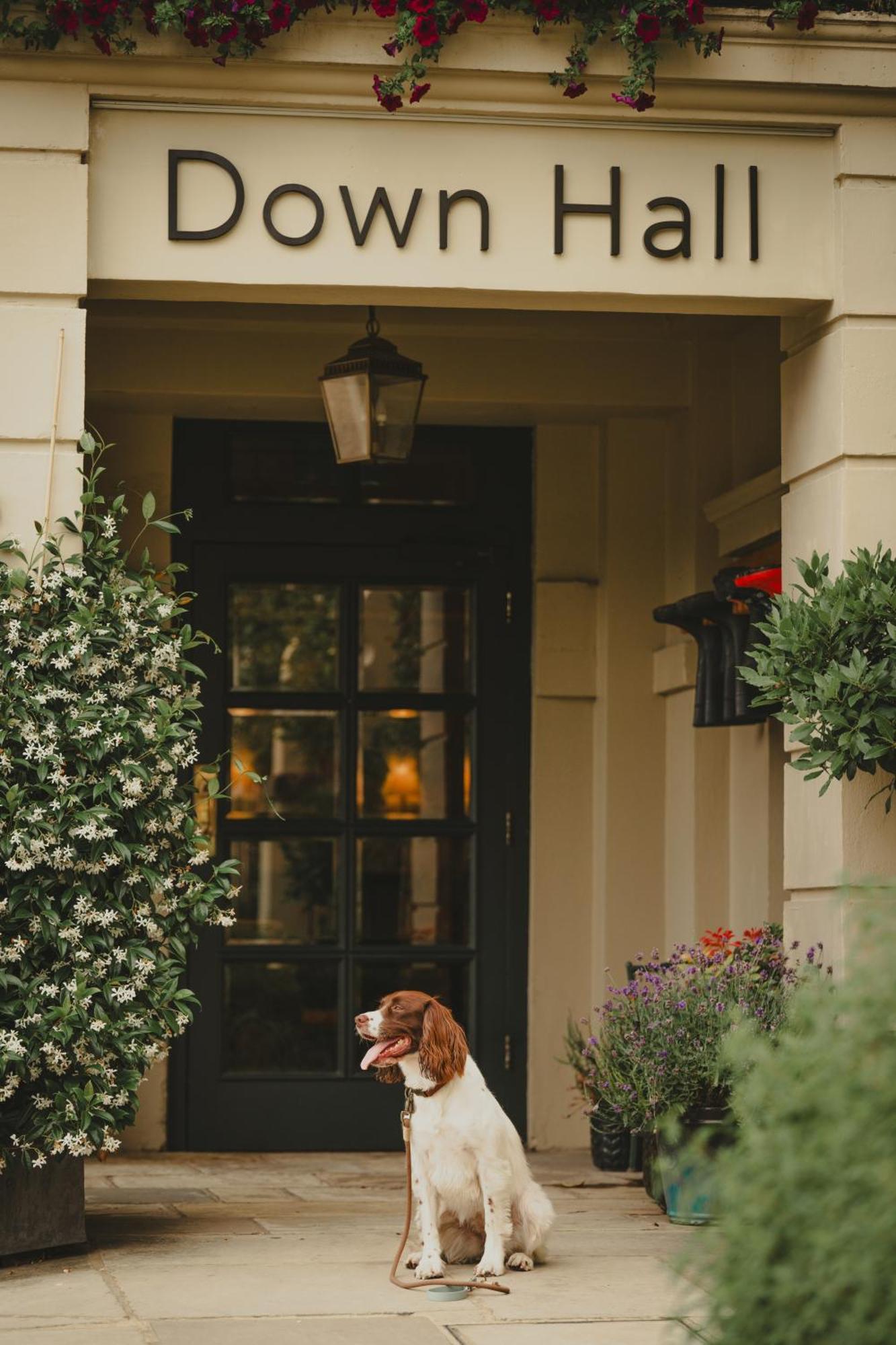 Down Hall Hotel Hatfield Heath Екстериор снимка